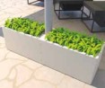 Markilux Syncra Uno Flex Flowers Markilux Syncra Uno Flex Flowers