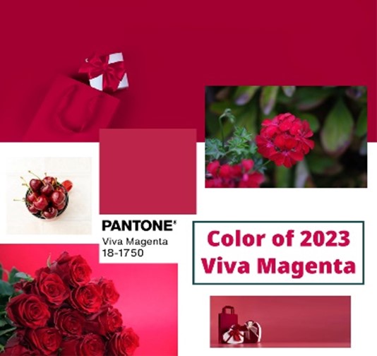 Viva Magenta colour